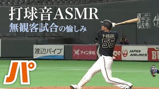 【ASMR】これは無観客試合の愉しみ… 響き渡る打球音