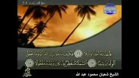073 -- سورة المزمل " الشيخ شعبان محمود عبد الله " مصحف تراويح 2016 بمد المنفصل " mohamed basyouni