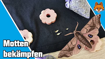 Wie lange dauert es bis Mottenpapier wirkt?