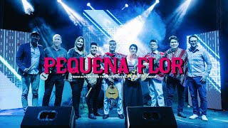 Pequeña Flor | Tawka (feat. Latidos)