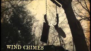 Angry Johnny And The Killbillies-Wind Chimes chords