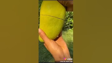 likee app like video likee app download likee apk likee app free downlo ad likee lite likee video do