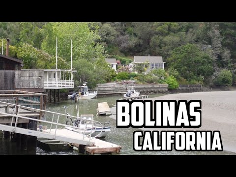 Video: Wat is de populatie van bolinas ca?