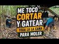 Cortando caña para moler como antes 💪💚