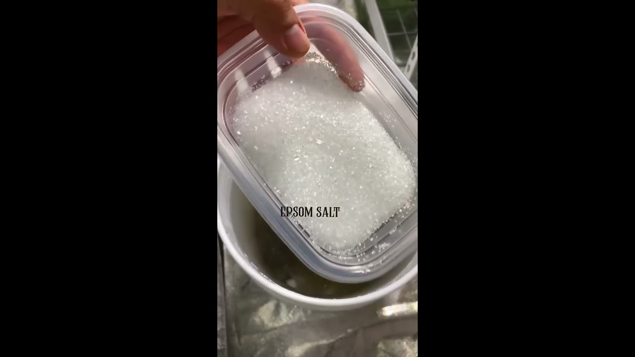 Make Your Own Natural Liquid Nutrients For Hydroponics Gardening Gardening101 Gardenhacks