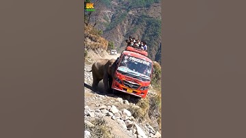 Elephant Pushes Bus Off Narrow Cliff Road | Shocking AI Jungle Scene | AI-Generated