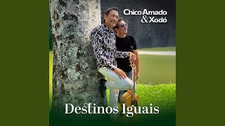 Destinos Iguais