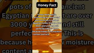 Honey: Natures Timeless Treasure fact honeyfacts natural sweet viscous discovery mindblowing