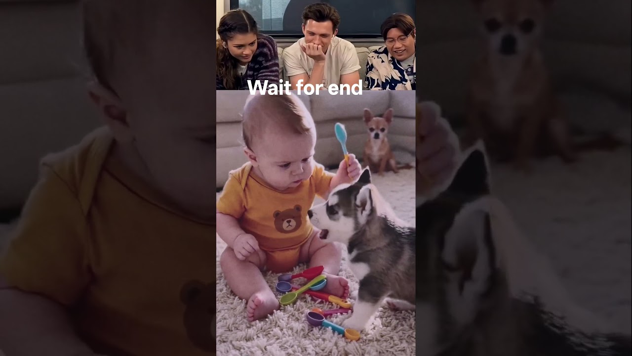 Warning: This Baby & Husky Duo Will Melt Your Heart! ❤️ #funny #memes #funnycute