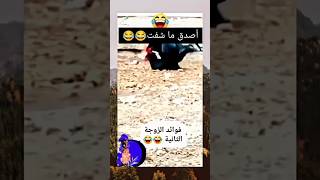 شاهد مميزيات الزوجه الثانيه ??