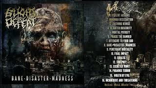 Blight By Defeat  Bane Disaster Madness  Album 2024
