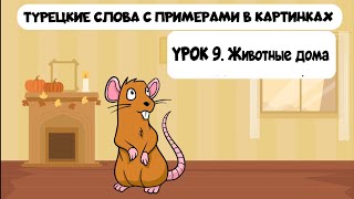 Учим турецкие слова в картинках. Урок 9. Животные дома