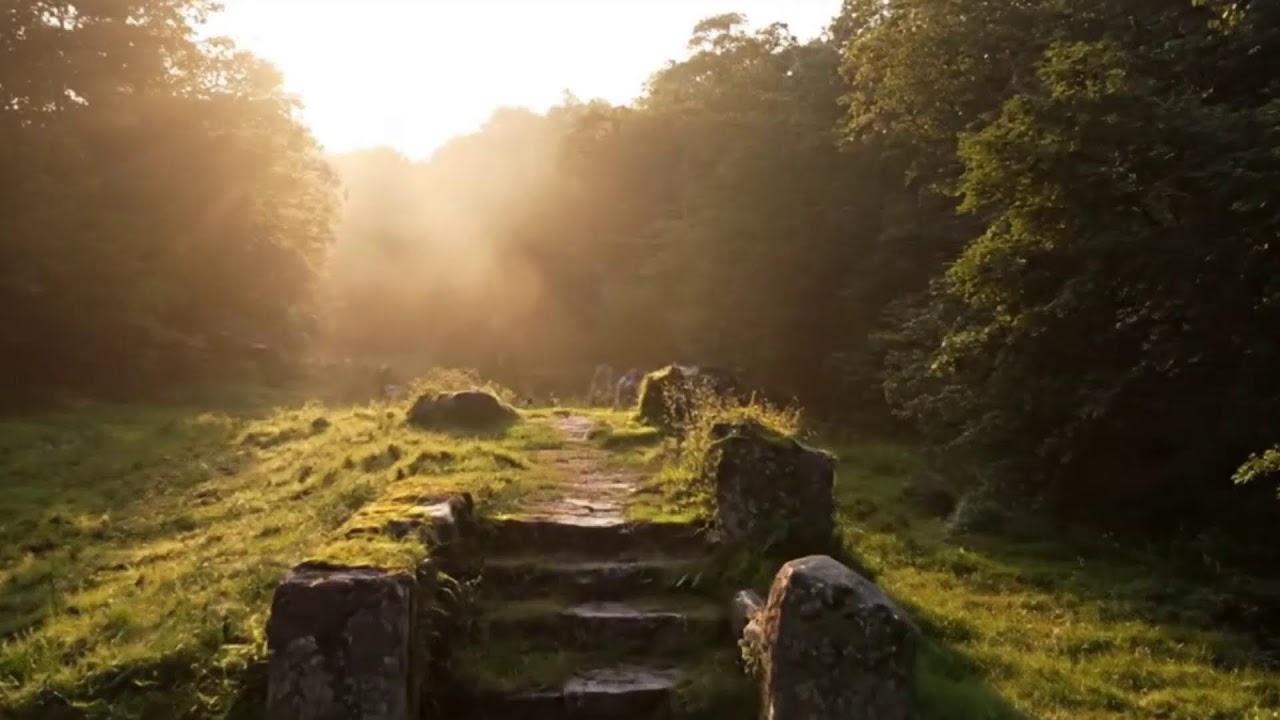 Roots Culture Reggae Flow 🌿🔥 | Conscious Rasta Vibes for Inner Strength