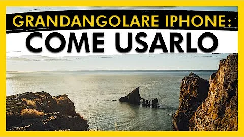 Cosa significa fotocamera grandangolare?