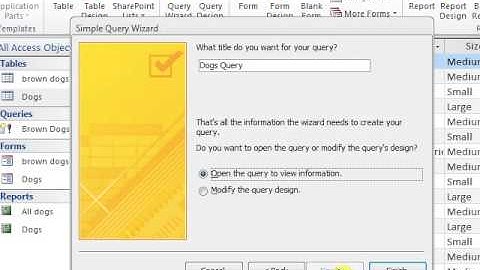 Lọc Dữ Liệu Trong Access 2010