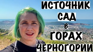 видео: ПРИРОДА В ГОРАХ ЧЕРНОГОРИИ картинка: ПРИРОДА В ГОРАХ ЧЕРНОГОРИИ