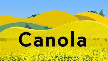 Canola Explained