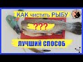 Как чистить рыбу в домашних условиях. Простой и быстрый способ.