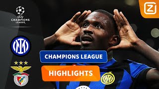 Een Doelpunt Uit Het Boekje Inter Vs Benfica Champions League 202324 Samenvatting