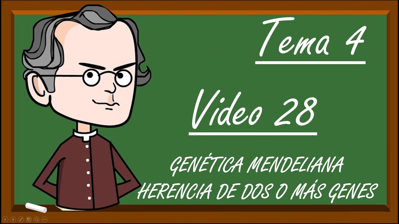 31 Tema 4. Genética Mendeliana. Herencia de dos o más genes. Genética (Cód. 2030)