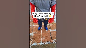 Things that are bigger than you think 😳 part 91 #ytshorts #scary #viral #things #bigger