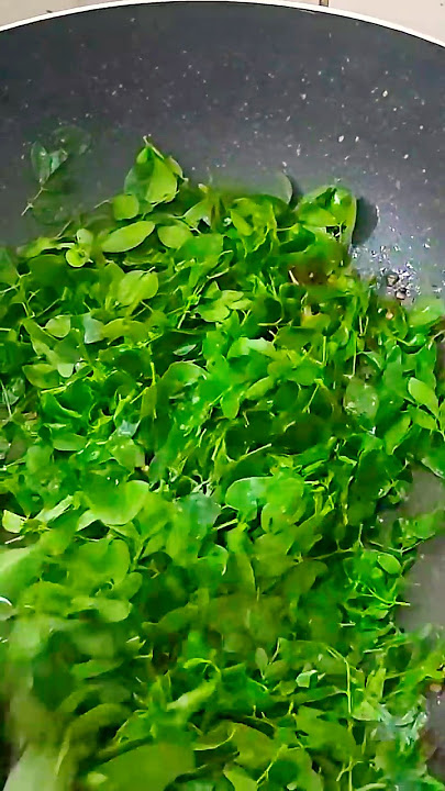 muringa ila paripp thoran| Muringa leaf  with Dal| sabi's tasty travels