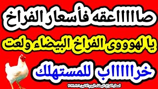 اسعار الفراخ اليوم | سعر الفراخ البيضاء اليوم | اسعار الفراخ البيضاء اليوم الاثنين ٦-٢-٢٠٢٣ في مصر