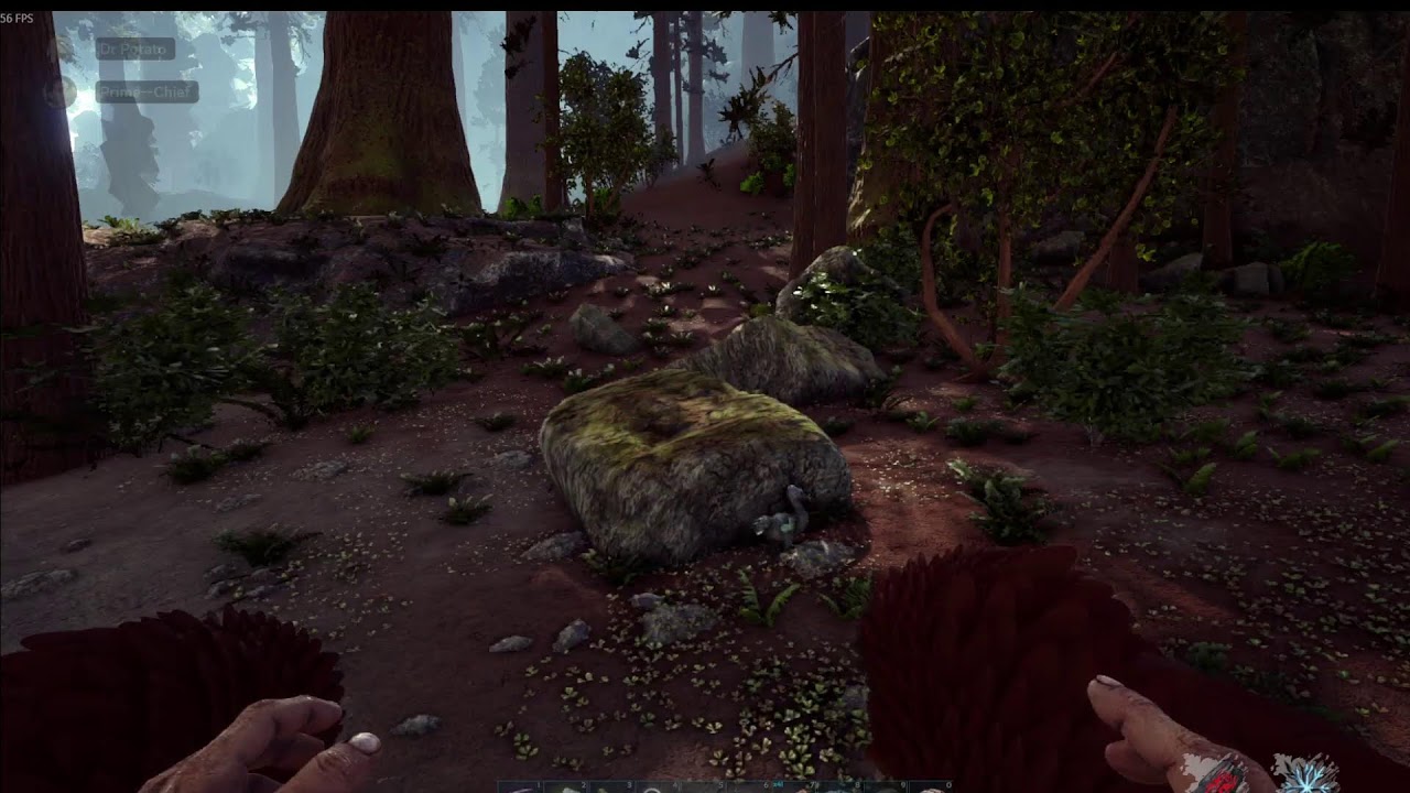 Maybe A Short Stream In ARK Survival Evolved