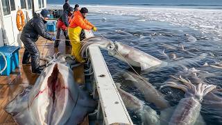 Information Japan’s Massive Fishing Scale – Up to 8,300 Tons of Seafood Hauled from the Ocean Every Day! Guide