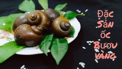 Ốc Bươu Vàng - Món Ngon Bị Ruồng Bỏ