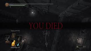 Invincibility test #2 RIP I guess... :[