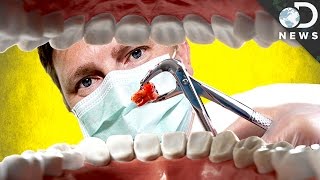 Why Don’t We Need Our Wisdom Teeth Anymore? Why Don’t We Need Our Wisdom Teeth Anymore?