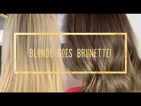 HOW TO TAKE A BLONDE TO DIMENSIONAL BRUNETTE IN ONE SESSION!