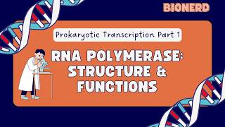 Prokaryotic Transcription Lec-1| RNA Polymerase Structure and Functions| CSIR NET/GATE| Malayalam