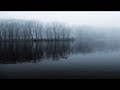 Eels - Guest list