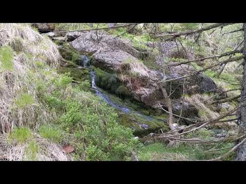 stream on Lovstakken near Bergen - ASMR video