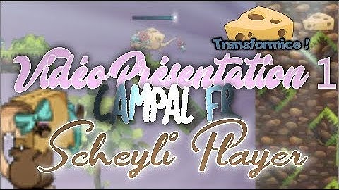 [TFM] Vidéo Présentation N*1 : SCHEYLI ! / Campal FR