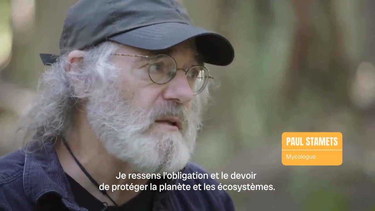 La semaine verte | Les champignons sauveront-ils la Terre?