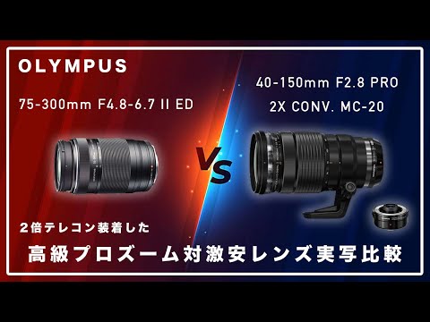 写りはほぼ同じ!? 激安レンズ VS. (2倍テレコン付けた)高級プロズーム実写テスト ー OLYMPUS 75-300mm 対 40-150mm  F2.8 PRO / MC-20 編ー