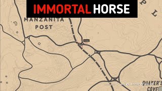 You'll Find This Horse Only Once In The Entire Game  RDR2