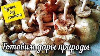 Думала что вкусно, но это вкуснее!!!  Хрустящий и сочный гриб! Рядовка майская #КухняБезХлопот