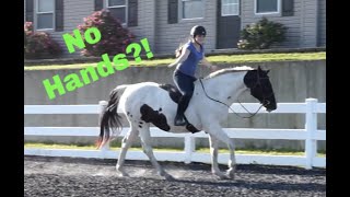 Cantering My Horse Bareback with NO HANDS!