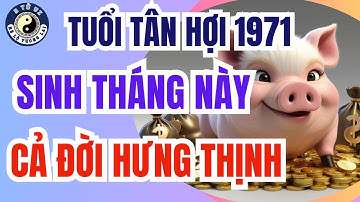 Tuổi Tân Hợi 1971 sinh tháng nào giàu sang nhất? Cả đời hưng thịnh nếu sinh vào tháng này!