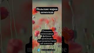 Польский шоколад
