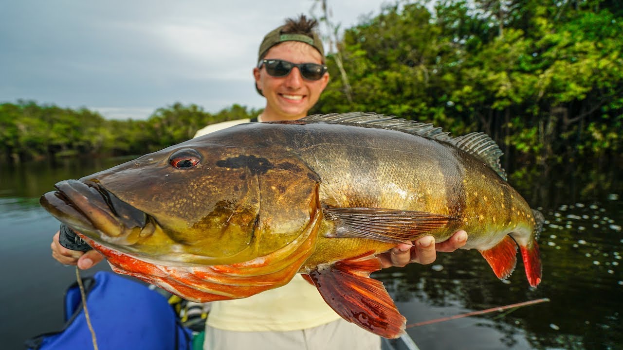 Catching MASSIVE FISH in the Remote Jungle of BRAZIL!!!! 