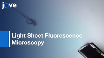 Light Sheet Fluorescence Microscopy to image eye development | Protocol Preview