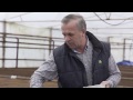 Технологія посіву ранньостиглої білоголової капусти Єтма RZ F1 в Закарпатті