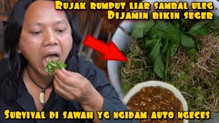 Download Lagu RUJAK RUMPUT LIAR SURVIVAL DI SAWAH BIKIN NGECES MP3 Download Lagu RUJAK RUMPUT LIAR SURVIVAL DI SAWAH BIKIN NGECES MP3
