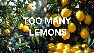 This Easy Lemon Tree Hacks Gives You More Fruits Every Season Now Exposed.