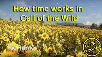 theHunter  Call of the Wild - How time works